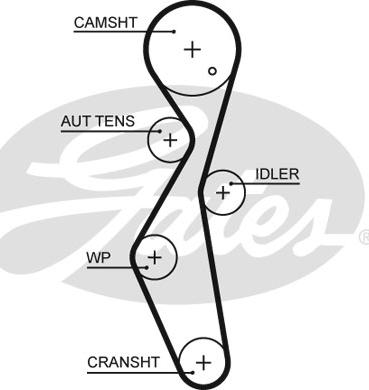 Gates 5672XS - Curea de distributie aaoparts.ro