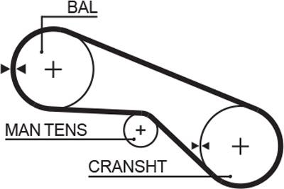 GATES 5025 - Curea de distributie aaoparts.ro