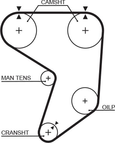 GATES 5195XS - Curea de distributie aaoparts.ro
