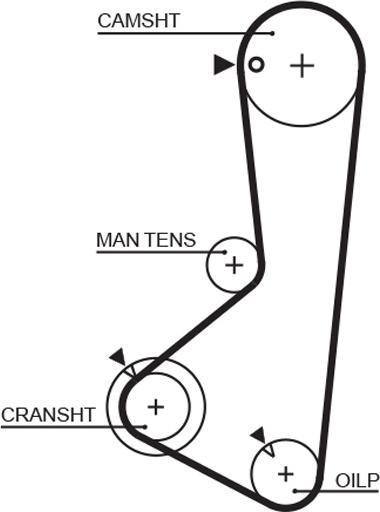 GATES 5372XS - Curea de distributie aaoparts.ro