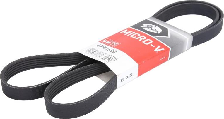 GATES 6PK1600 - Curea transmisie cu caneluri aaoparts.ro