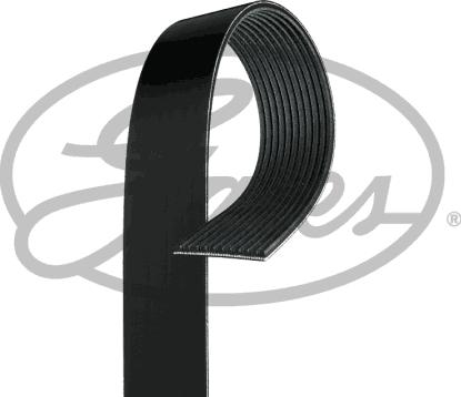 GATES 11PK1515HD - Curea transmisie cu caneluri aaoparts.ro