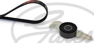 GATES K055PK1113 - Set curea transmisie cu caneluri aaoparts.ro