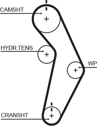 GATES T245 - Curea de distributie aaoparts.ro
