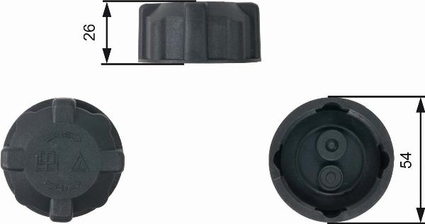 GATES RC202 - Buson,vas expansiune aaoparts.ro