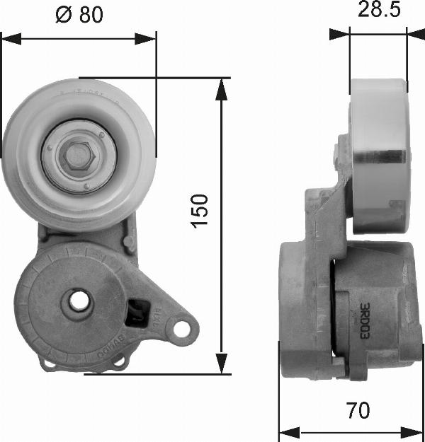 GATES T38413 - Intinzator curea, curea distributie aaoparts.ro