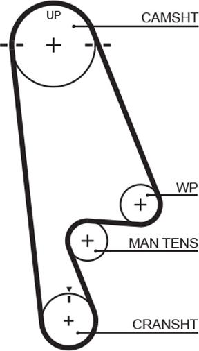 GATES T244RB - Curea de distributie aaoparts.ro