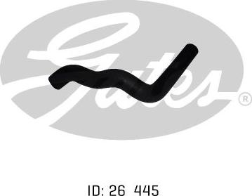 GATES 05-0516 - Furtun radiator aaoparts.ro