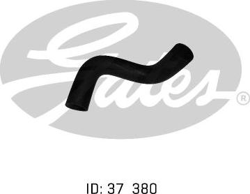 GATES 05-0146 - Furtun radiator aaoparts.ro