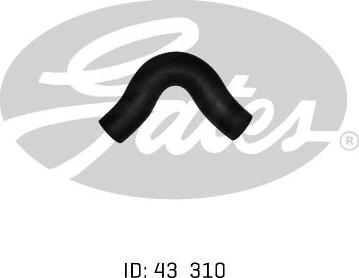 GATES 05-0147 - Furtun radiator aaoparts.ro