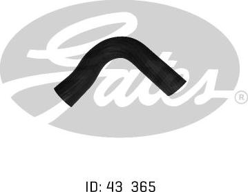 GATES 05-0110 - Furtun radiator aaoparts.ro