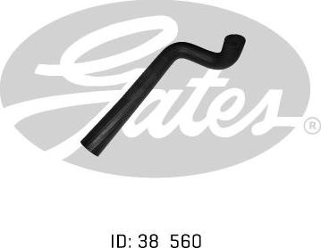 GATES 05-0111 - Furtun radiator aaoparts.ro