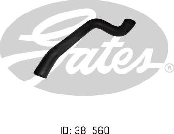 GATES 05-0299 - Furtun radiator aaoparts.ro