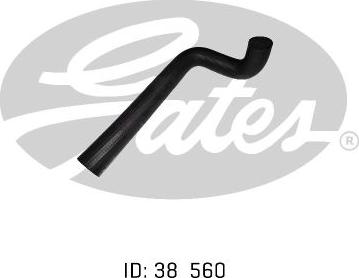 GATES 05-0284 - Furtun radiator aaoparts.ro