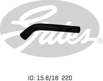 GATES 02-0784 - Furtun radiator aaoparts.ro