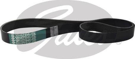 GATES 10PK1485ES - Curea transmisie cu caneluri aaoparts.ro