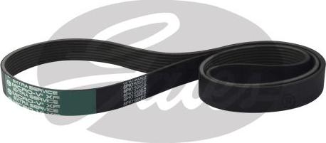 GATES 8PK1565ES - Curea transmisie cu caneluri aaoparts.ro