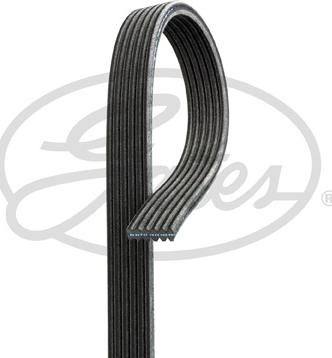 GATES 6DPK1352 - Curea transmisie cu caneluri aaoparts.ro