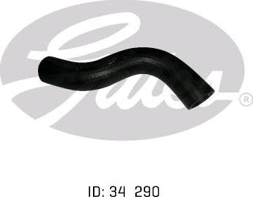 GATES 05-0842 - Furtun radiator aaoparts.ro