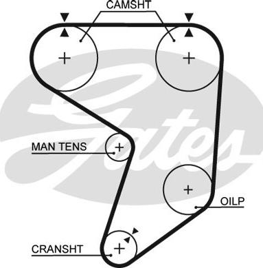 GATES T237 - Curea de distributie aaoparts.ro