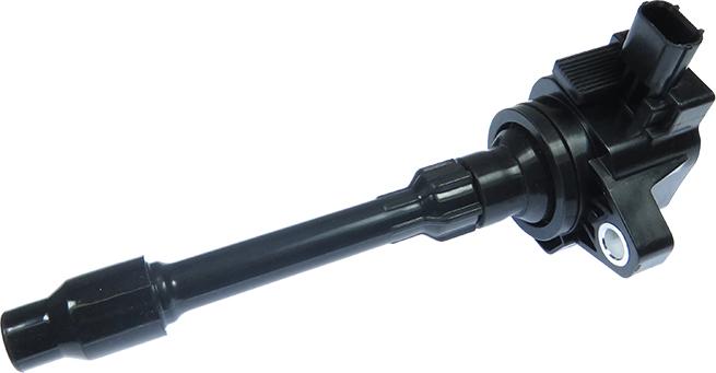 BorgWarner ZSE296 - Bobina de inductie aaoparts.ro