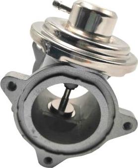 GAUSS GI2060 - Supapa EGR aaoparts.ro