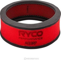 GCG Turbos Australia RY-A133RP - Filtru aer aaoparts.ro