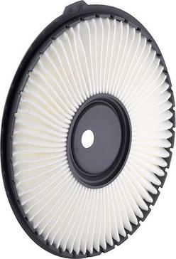 GCG Turbos Australia RY-A1211 - Filtru aer aaoparts.ro