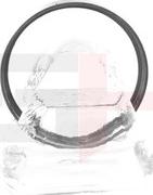 GH GH-493763 - Inel senzor, ABS aaoparts.ro