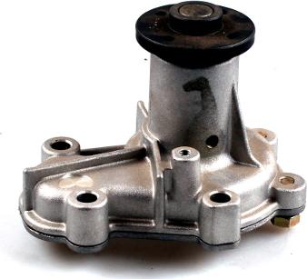 GK 985087 - Pompa apa aaoparts.ro