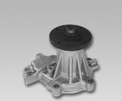 GK 981774 - Pompa apa aaoparts.ro