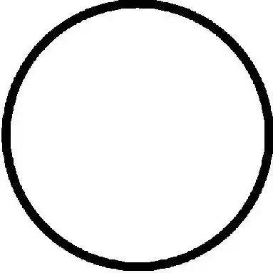 Glaser H81761-00 - Garnitura, chiulasa aaoparts.ro