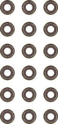 Glaser N92568-00 - Set garnituri, ax supape aaoparts.ro