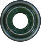 Glaser P93904-00 - Etansare, supape aaoparts.ro