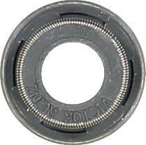 Glaser P76833-00 - Etansare, supape aaoparts.ro