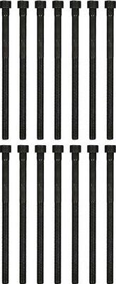 Glaser T84979-00 - Set surub, chiulasa aaoparts.ro