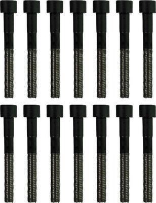 Glaser T81762-00 - Set surub, chiulasa aaoparts.ro