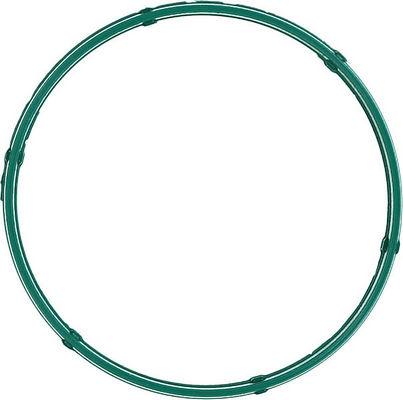 Glaser X90394-01 - Garnitura, Carcasa galerie admisie aaoparts.ro