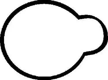 Glaser X53113-01 - Garnitura, galerie admisie aaoparts.ro