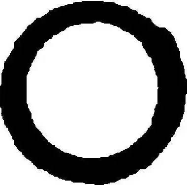 Glaser X82403-01 - Garnitura, racord evacuare aaoparts.ro