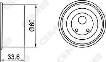 GMB GT10060 - Rola intinzator,curea distributie aaoparts.ro