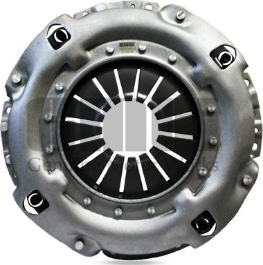 GMW DB3250142 - Placa presiune ambreiaj aaoparts.ro