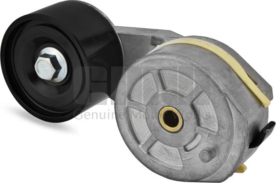 GMW GT53001 - Intinzator curea, curea distributie aaoparts.ro