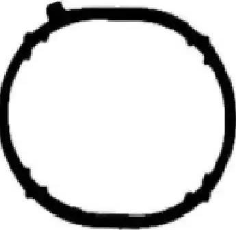 Goetze 50-030698-00 - Garnitura, galerie admisie aaoparts.ro