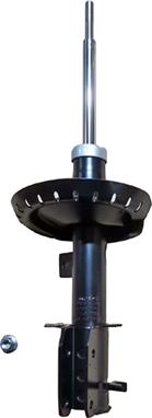 GOOM F210G0586 - Amortizor aaoparts.ro