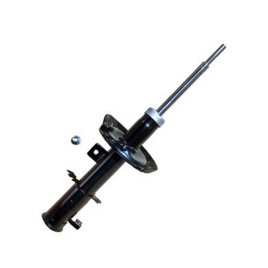 GOOM F210G0587 - Amortizor aaoparts.ro