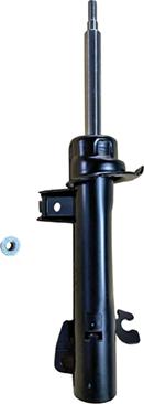 GOOM F210G1573 - Amortizor aaoparts.ro