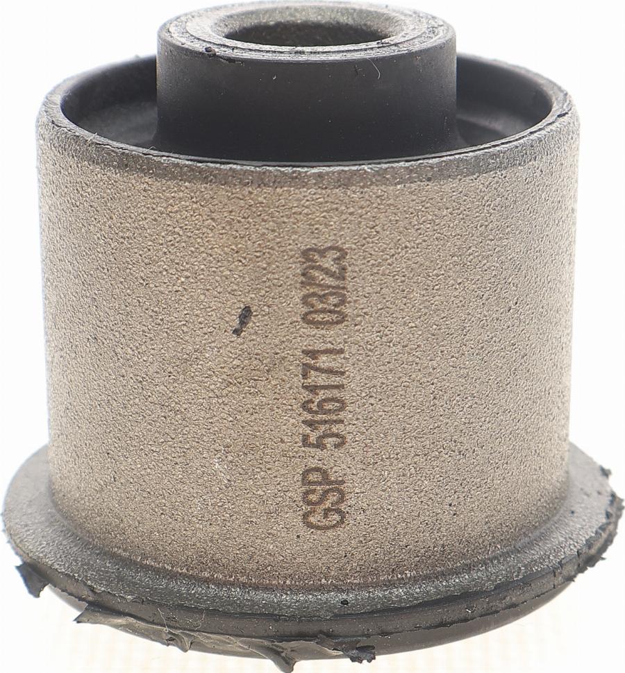 GSP 516171 - Suport,trapez aaoparts.ro