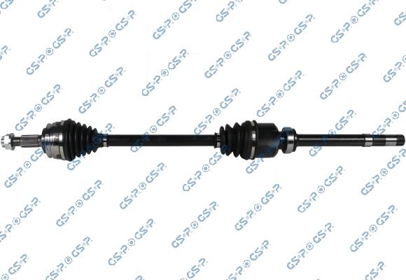 GSP 204336 - Planetara aaoparts.ro