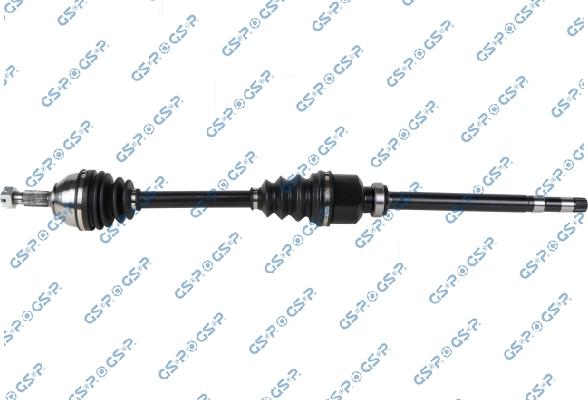 GSP 202847 - Planetara aaoparts.ro